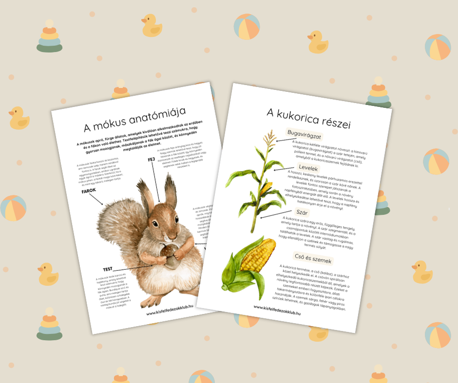 Őszi állatok és termések – előnézet