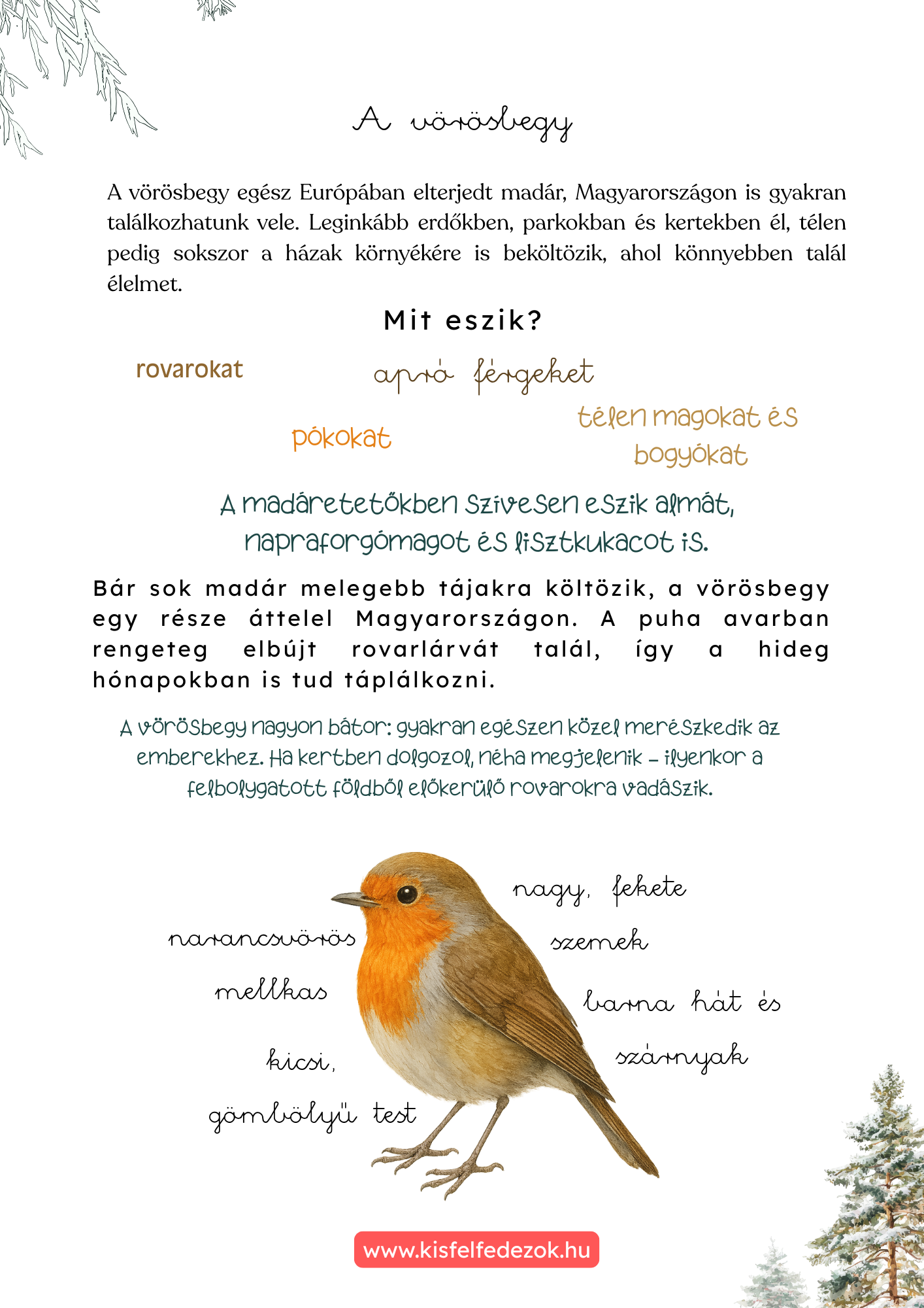Betekintő 1. oldal