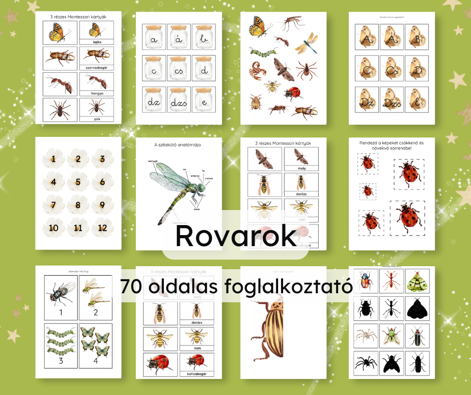 Rovarok foglalkoztató