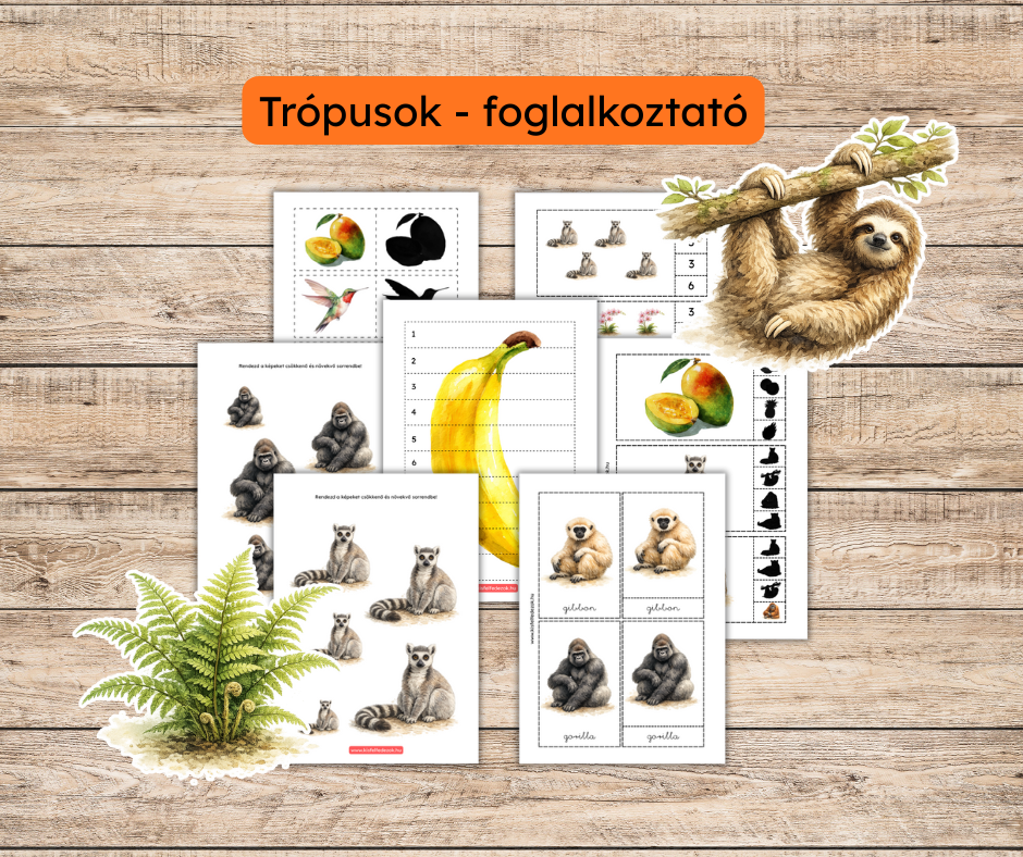 Trópusok foglalkoztató