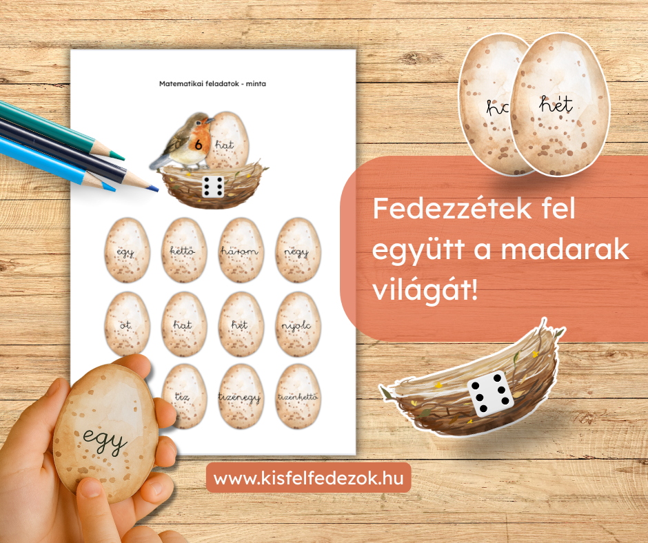Madarak foglalkoztató