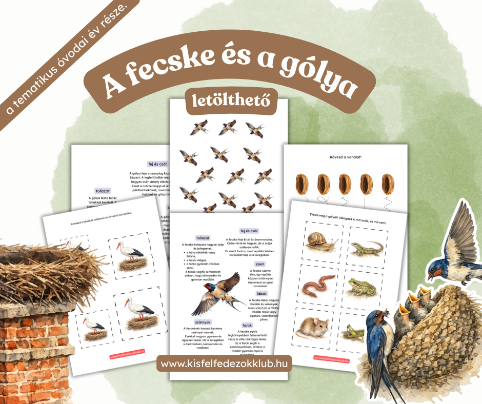 A fecske és a gólya