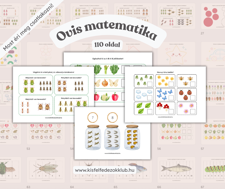 Ovis matematika