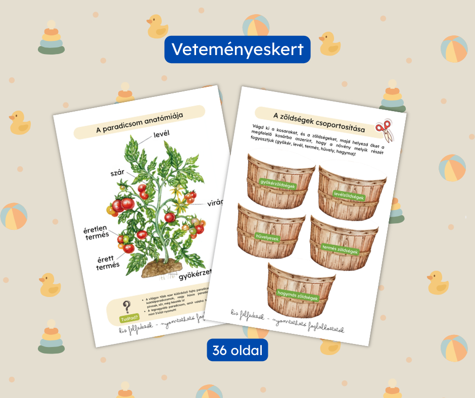 Veteményeskert foglalkoztató