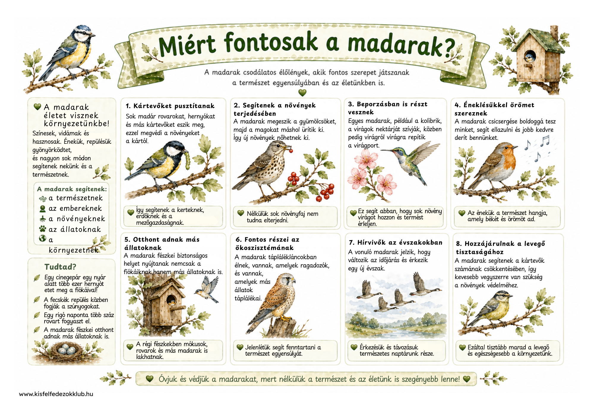 Madarak és fák napja foglalkoztató