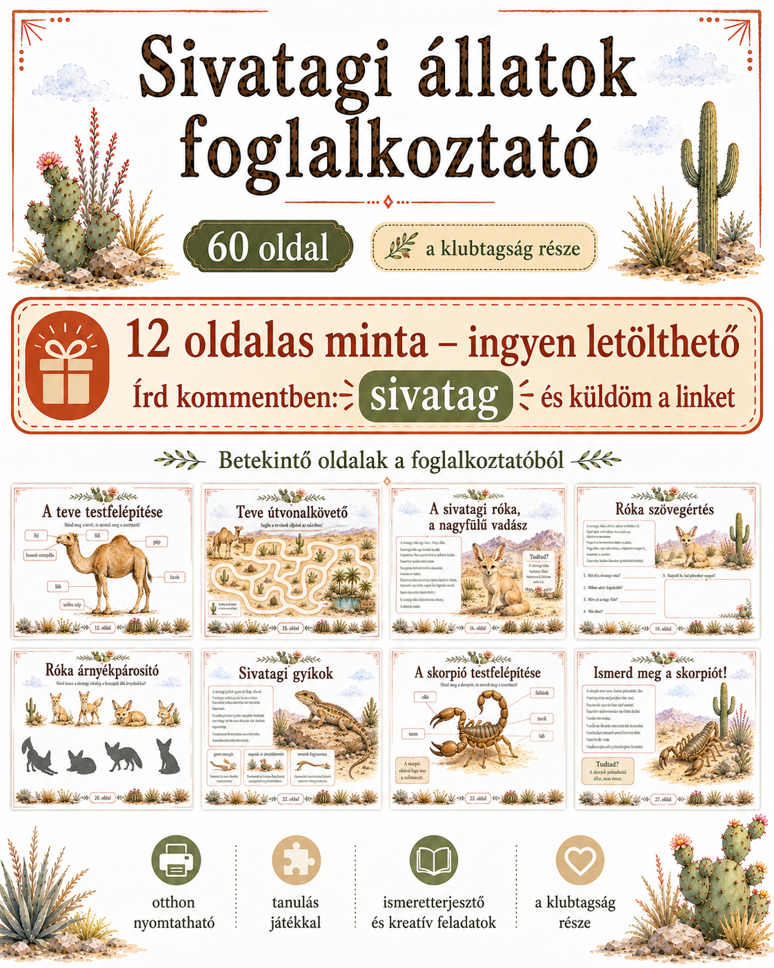 Sivatagi állatok foglalkoztató