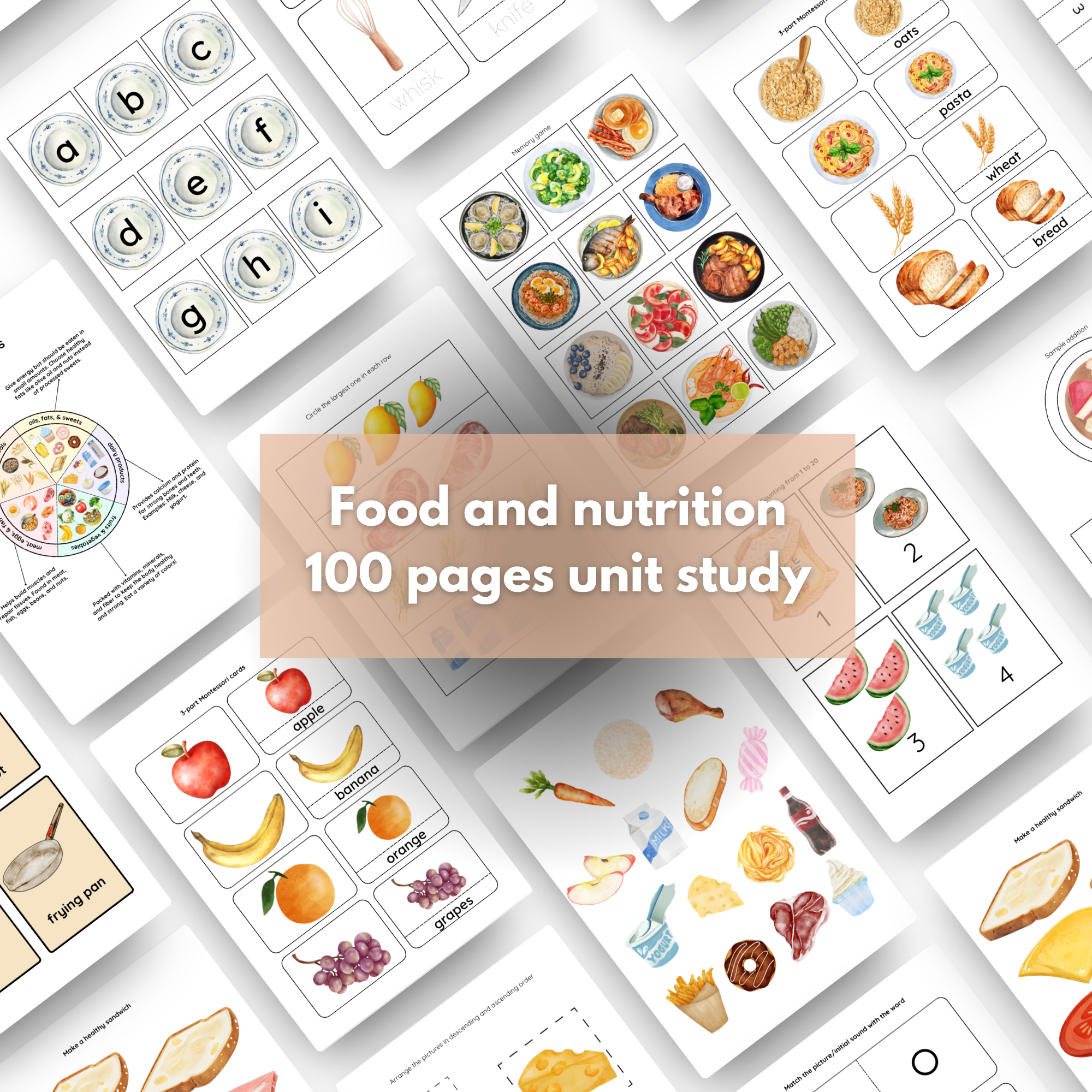 Food and Nutrition – a foglalkoztató bemutatóképe