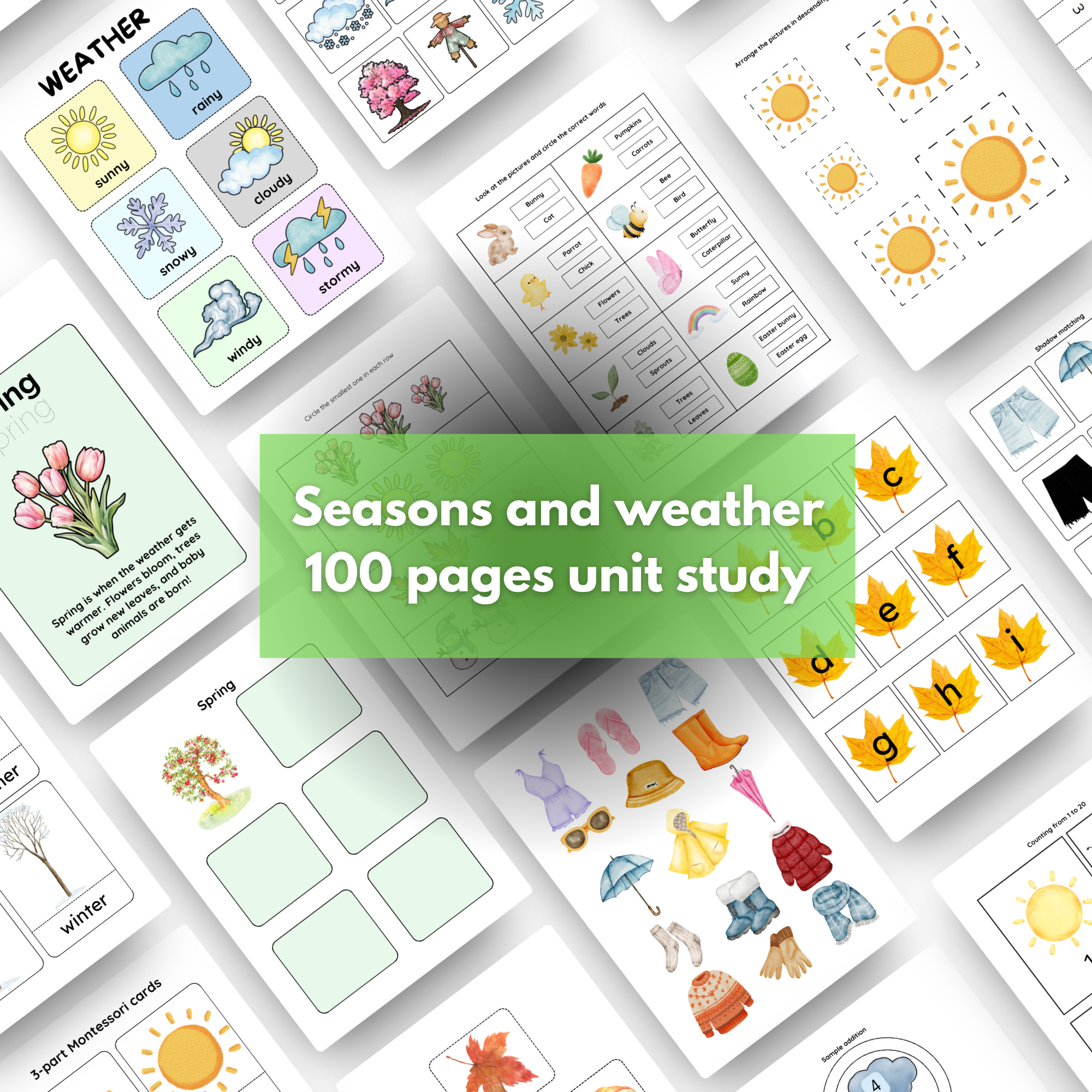 Seasons and Weather – a foglalkoztató bemutatóképe