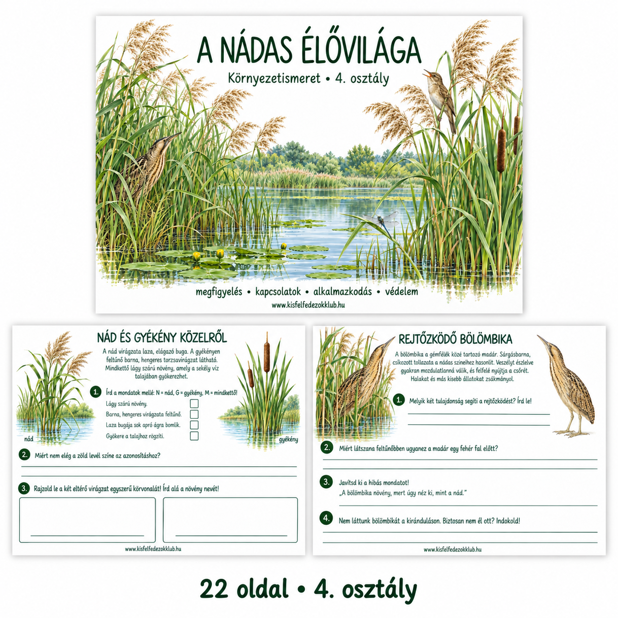 A nádas élővilága – 4. osztály · Környezetismeret