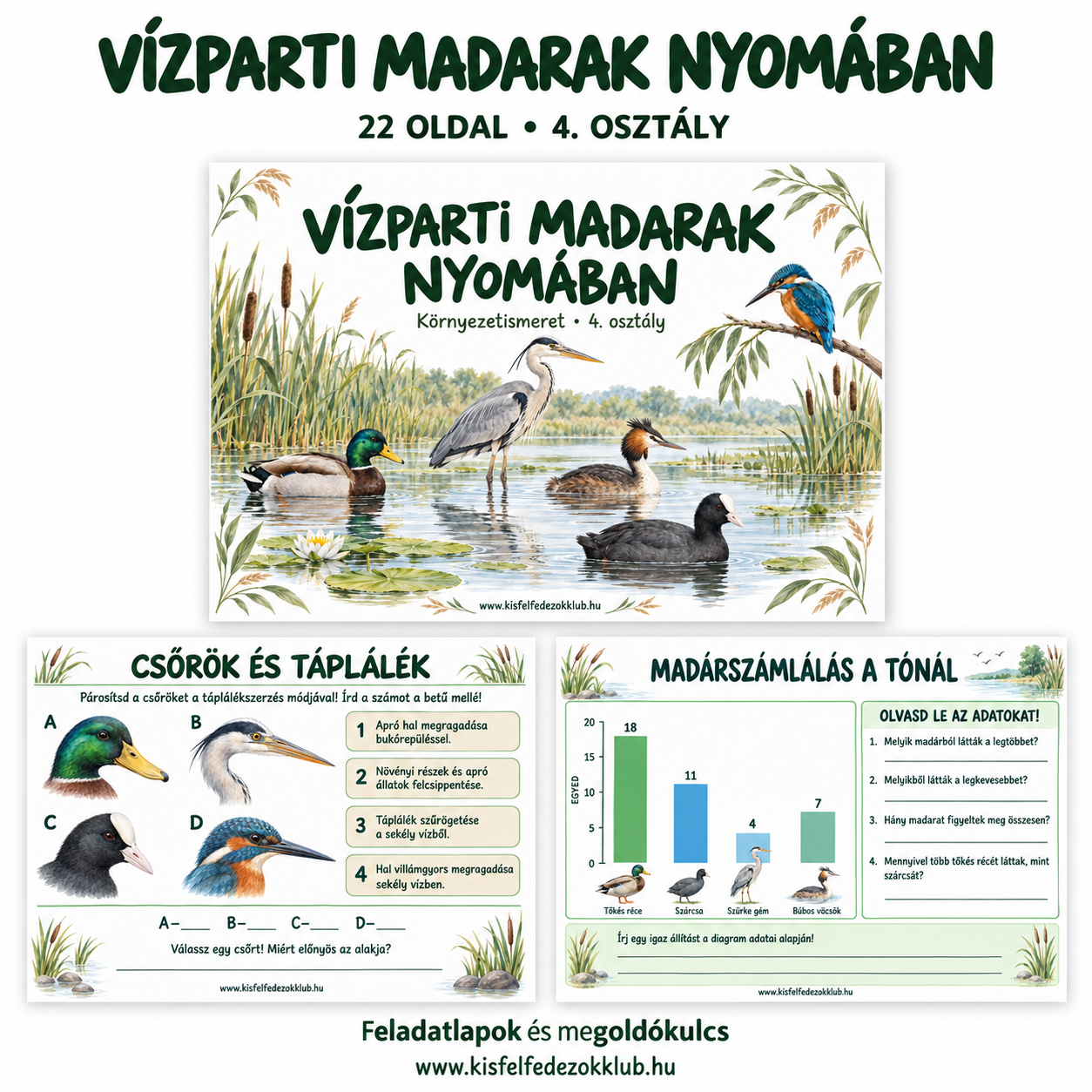 Vízparti madarak nyomában – 4. osztály · Környezetismeret